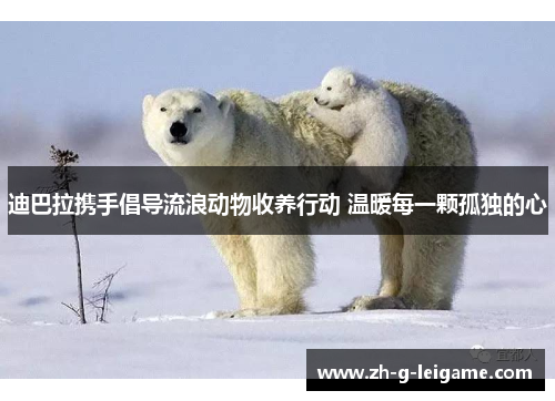 迪巴拉携手倡导流浪动物收养行动 温暖每一颗孤独的心 迪巴拉携手倡导流浪动物收养行动 温暖每一颗孤独的心