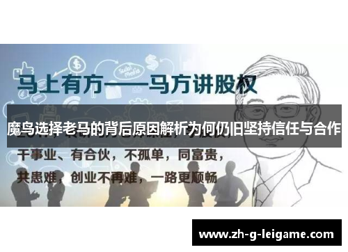魔鸟选择老马的背后原因解析为何仍旧坚持信任与合作 魔鸟选择老马的背后原因解析为何仍旧坚持信任与合作